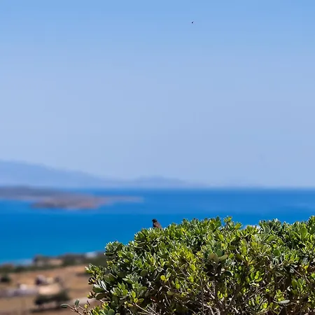 Lagadia Village * Andiparos